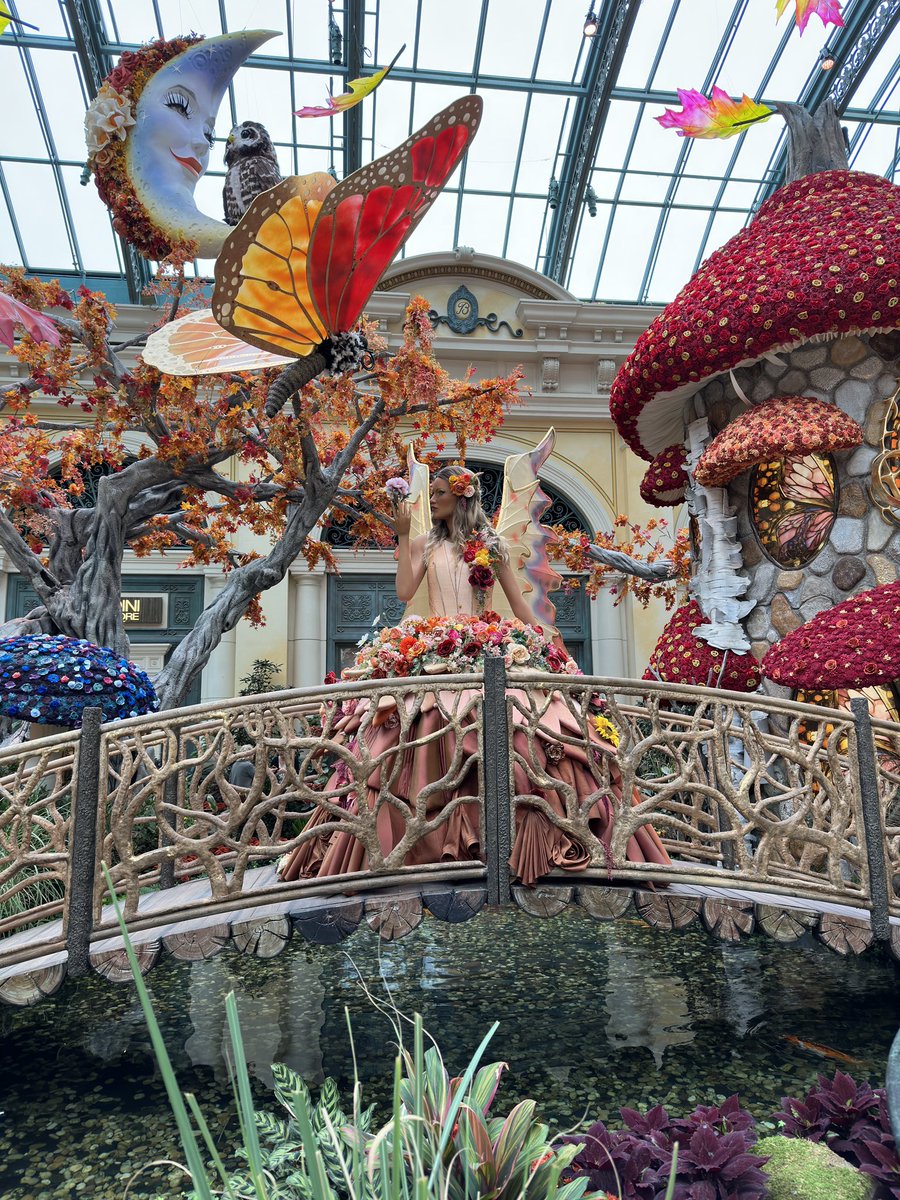 Brian Moore tweet media