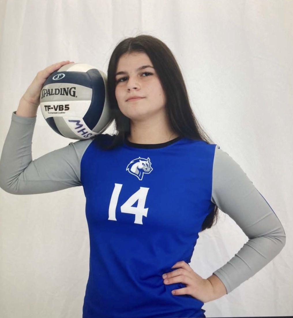 RealMarcKascsak's tweet photo. Go get ‘em Lydia and the rest of the Millbrook Girls Volleyball team as the continue their march towards their goal of a New York State Championship this weekend at Glens Falls, NY!! https://t.co/uP91ond48v