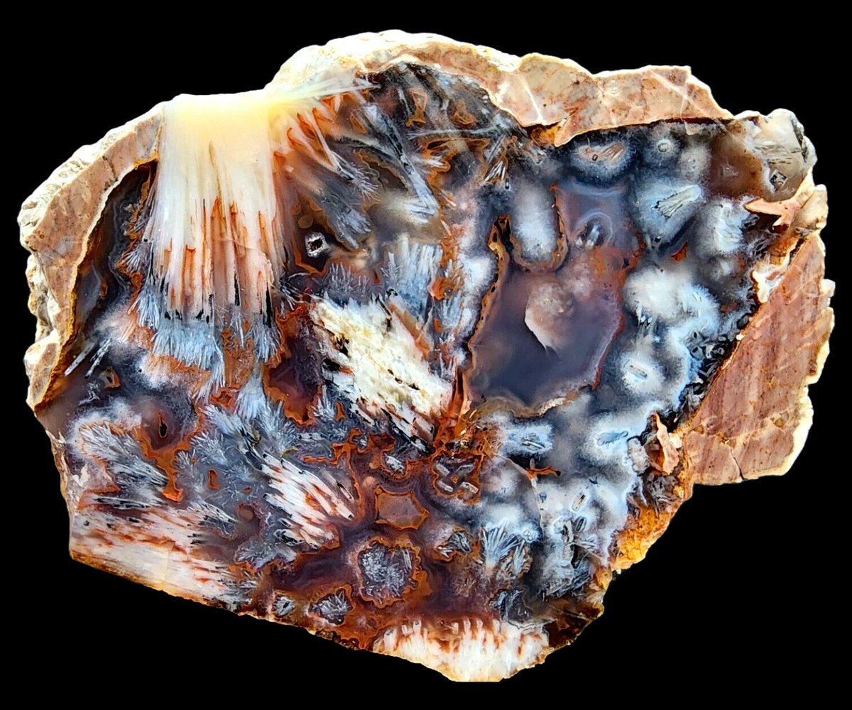 Sagenite & Tube Agate Pair
ebay.com/itm/1261891182…
etsy.com/shop/RoqSolid

#agatejewelry #agate #achate #sageniteagate #Collectibles #crystals #rockhound #rockhunting #natural #NaturalBeauty #Geology #agatecollection