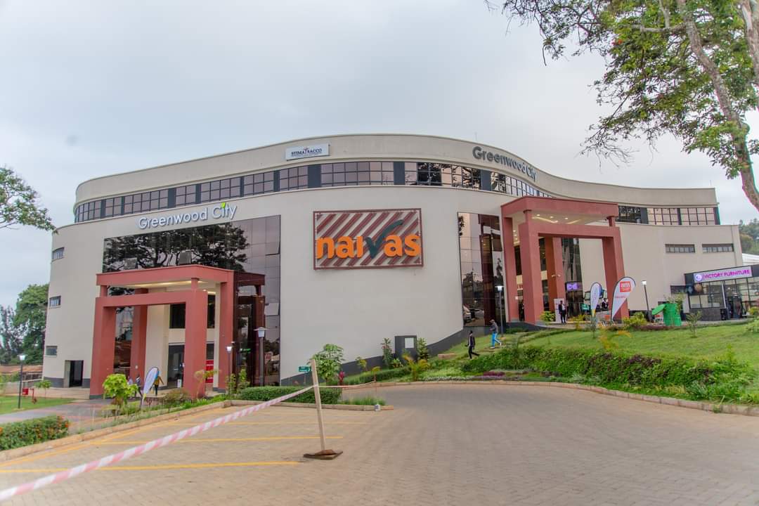 DiscoverMeru's tweet photo. Another weekend, another reason to visit Greenwood City Mall, Meru
If you can't find an answer at the mall or the library, what does that say about the world
Karibu we explore and discover the beautiful sceneries in meru
https://t.co/nDAvIwHDzS
#homeofadventure #MeruCounty https://t.co/gmzoMQQc1p