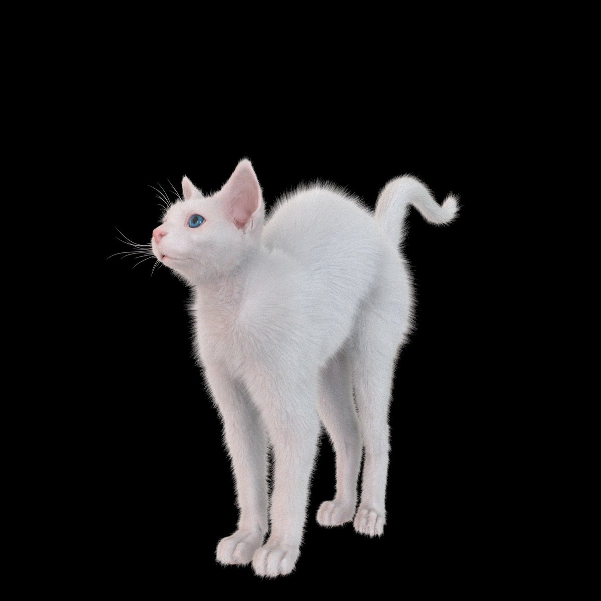 shakepass's tweet photo. Meooooooow!!

"Today's meal is..."

I've completed another piece of artwork. It was created solely using zBrush, Maya, and Photoshop.

#WhiteCatCGI #DigitalArtCreation #3DVirtualFeline #CatArtistry #VirtualCatMagic #WhimsicalWhites #CGIPetPortraits #3DMeowMasterpiece #CatCreators https://t.co/tHeMlYkyUG