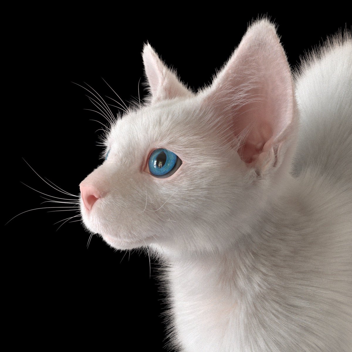 shakepass's tweet photo. Meooooooow!!

"Today's meal is..."

I've completed another piece of artwork. It was created solely using zBrush, Maya, and Photoshop.

#WhiteCatCGI #DigitalArtCreation #3DVirtualFeline #CatArtistry #VirtualCatMagic #WhimsicalWhites #CGIPetPortraits #3DMeowMasterpiece #CatCreators https://t.co/tHeMlYkyUG