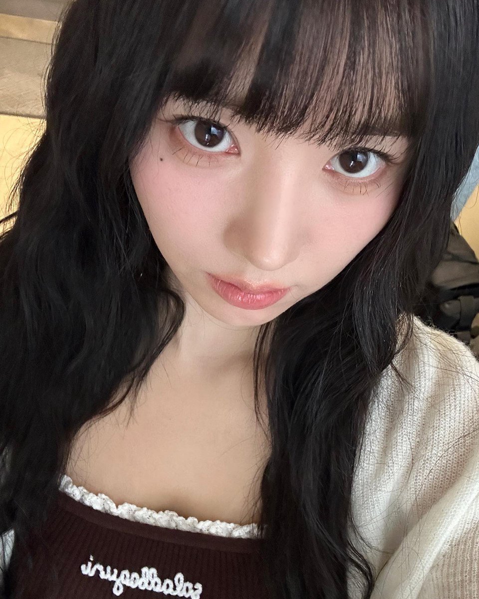 제리 tweet media