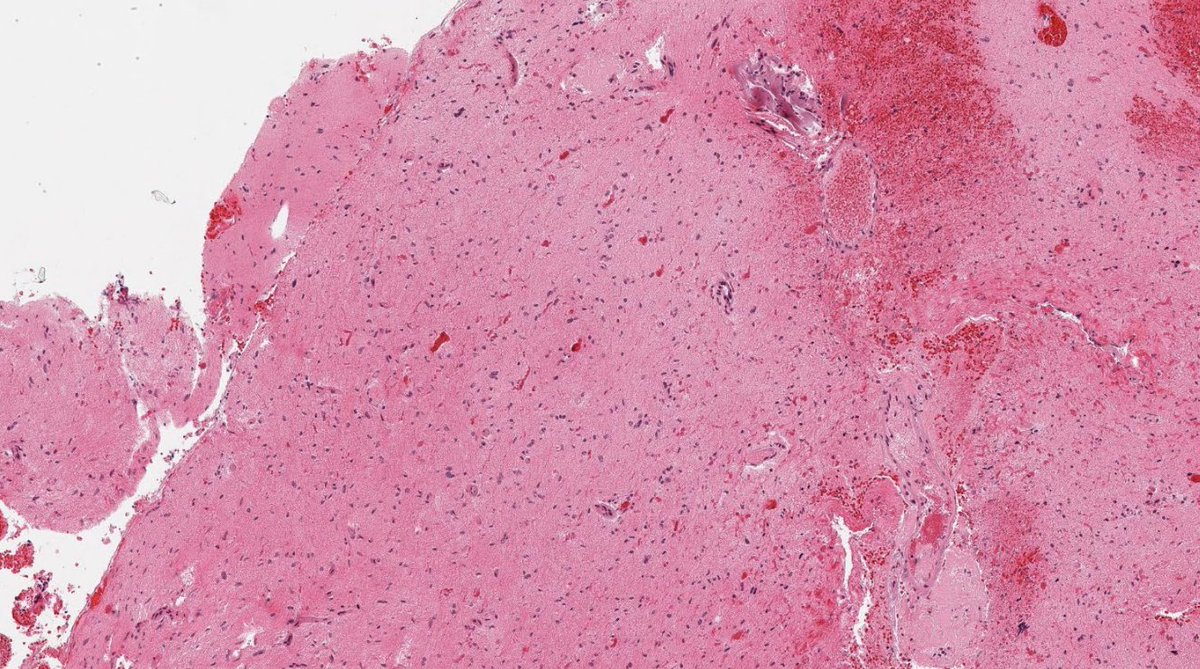 Jay "Thymocyte" Hwang tweet media