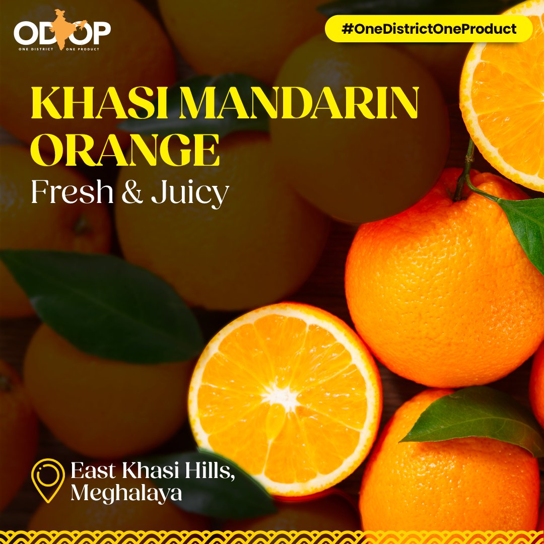 Indulge in the vibrant taste of #KhasiMandarin orange from #EastKhasiHills district in #Meghalaya, which is known for its high nutritional value and sweet tanginess.

Know more at bit.ly/II_ODOP

#InvestInMeghalaya #InvestInIndia #ODOP #InvestIndia #OneDistrictOneProduct