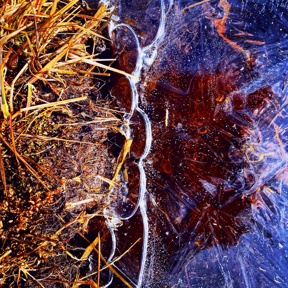 _ad_inf_'s tweet photo. This photograph exposes a sharp contrast where parched grass edges into the silent freeze of water. The warmth of autumn's remnants gives way to winter's cold embrace.☀️❄️📸🟧🟫⬜️🟥🟪🟦
#NatureContrasts #CapturedSeasons #AutumnToWinter #WinterEmbrace https://t.co/0eC5jM6oP3