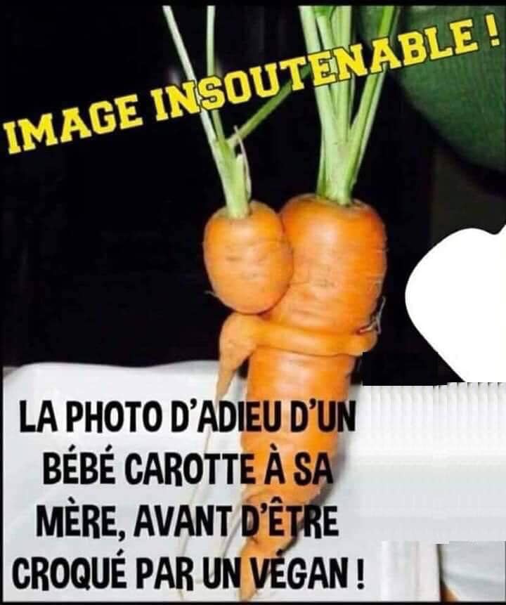 Oups! 🤣 #jaimelespaysans #agriculteur #agriculture #agricultrice #paysan #mondeagricole #FrAgTw