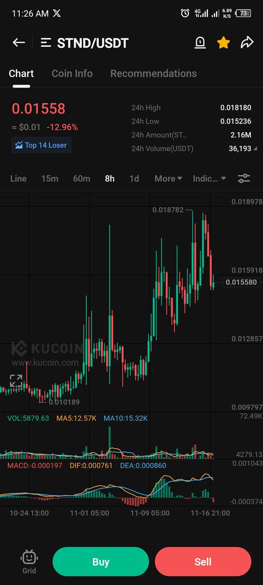 Bull Rider tweet media