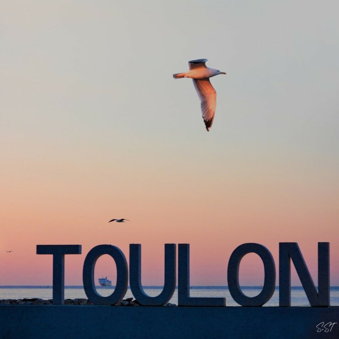 #Photodujour 
❤️ Quand Toulon s'affiche en toutes lettres. Stéphane Sénès, habitant du Mourillon et photographe passionné, a envoyé à la rédaction ce *superbe cliché* qui représente "la ville où j'ai vu le jour, le soleil, le sud et le départ pour la Corse"

📷 Stéphane Sénès