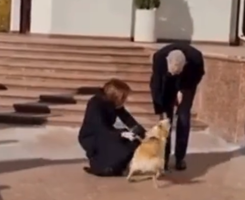 PopulismUpdates's tweet photo. Here's the president of Moldova's dog biting the president of Austria https://t.co/gqyth7ubwy