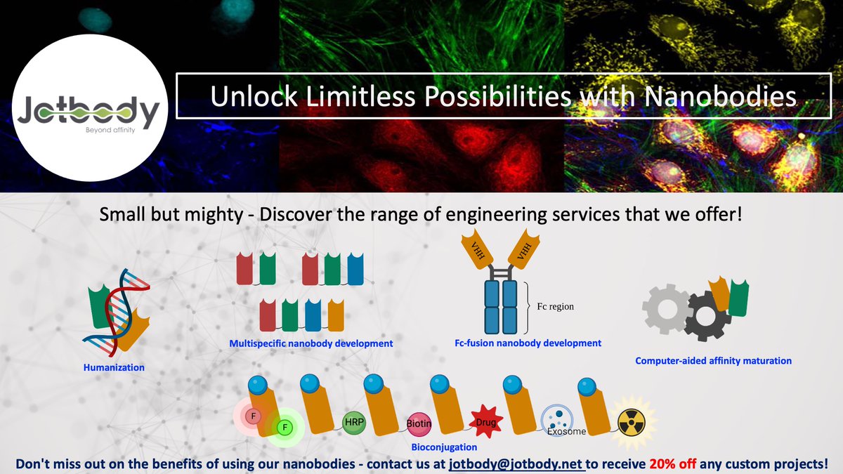 Unlock Nanobody Engineering at Jotbody for enhanced therapeutics, imaging, and targeted drug delivery! 

Don't miss our 20% off end-of-year promotion on all custom services. #NanobodyEngineering #ScientificBreakthroughs 

Visit jotbody.net!