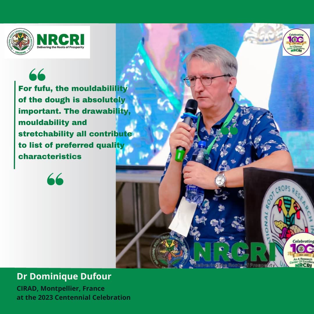 nrcri_umudike's tweet photo. The #mouldability, #drawability &amp; #stretchability of #fufu all contribute to list of preferred quality characteristics. 

How do you love your fufu? 

#nrcri100 #nrcricentenary #nrcri2023 #foodsecurity #centennial 

@Cipotato @Cirad @FmardNg @cegesi @NASC_NG @Cornell @IITA_CGIAR https://t.co/UidF8Ugl51