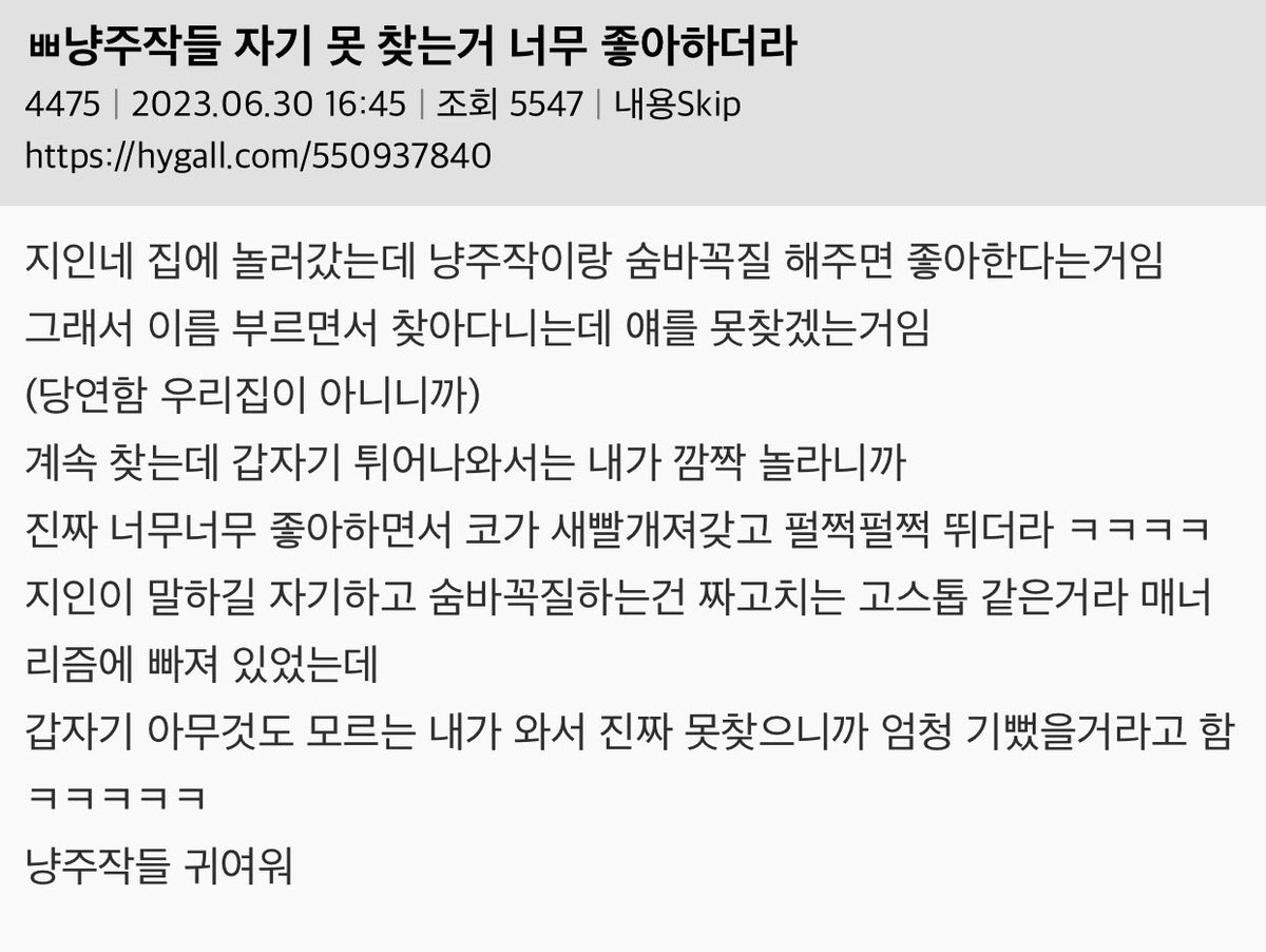 ssulchive's tweet photo. 고양이들 자기 못 찾는거 너무 좋아하더라 https://t.co/evA7YQcsSR