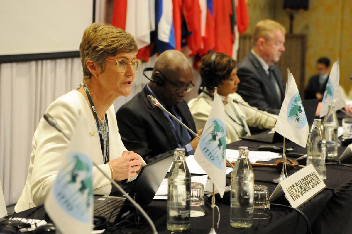 IISD_ENB's tweet photo. #ITTC59 agrees to extend the Int’l Tropical Timber Agreement 2006 for 3 years to 6 Dec 2029, pending an intersessional decision by ballot. New Zealand, incoming #ITTO chair, calls for “hearing all voices” in the process to extend, then renegotiate ITTA. #tropicaltimber @itto_sfm https://t.co/WCGGAvzA3M