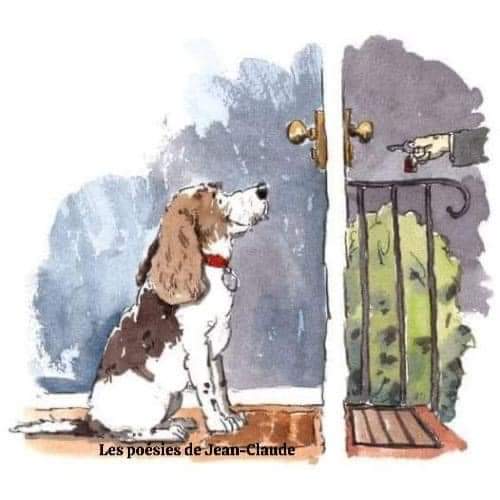 N’oublie jamais que même si tu es fatigué après ta journée au boulot, ton chien a attendu toute la journée pour passer du bon temps avec toi...! 😍😍