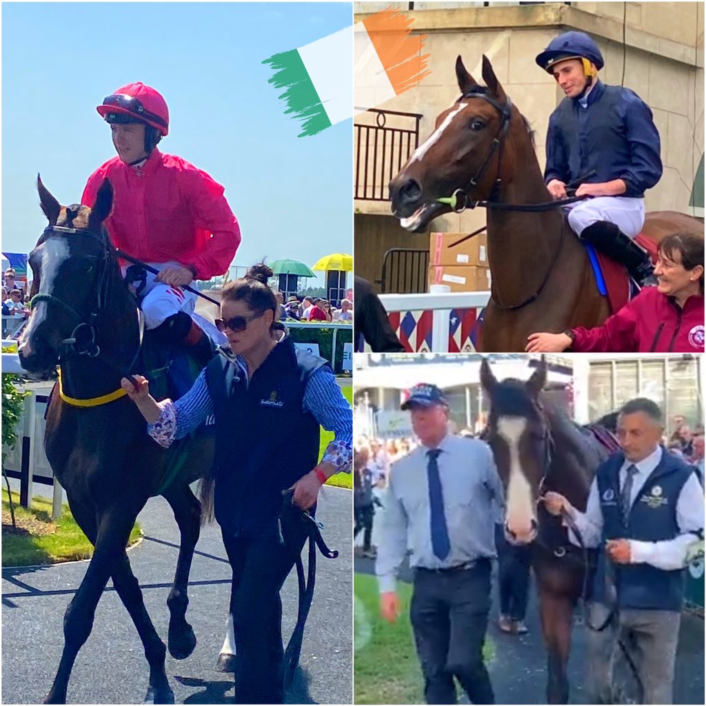 Best of Luck to Team Ireland @BahrainTurfClub Trophy 🏆 🇮🇪 🏇🍀

Layfayette 😎

Above the Curve 📈

Point Lonsdale 💜🤍

#bahrainturfclub 
#morevaluablethanever