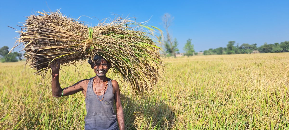 In your life, you need a doctor, a lawyer, a policeman, and a preacher. But every day, three times a day, you need a farmer. #csisa #Cimmyt #irri #Farmers #Happiness