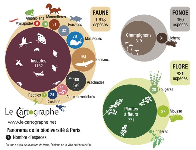 lecartographe's tweet photo. Infographie : Panorama de biodiversité à #Paris 🇫🇷
Source : #DocPhoto "Humains et animaux, une géographie de relations" (@CNRSEd)
#LeCartographe https://t.co/5cDYsAN5ia
