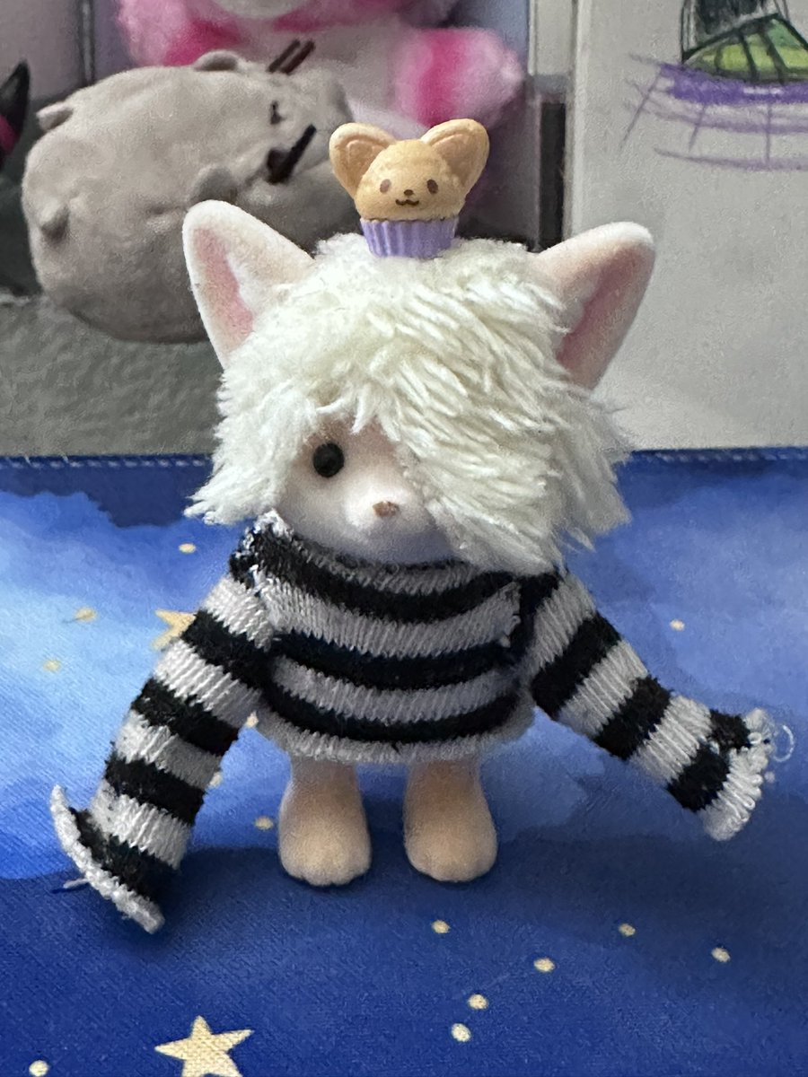 sodapup69's tweet photo. i made him a shirt out of my sock https://t.co/u09ARjsfe0