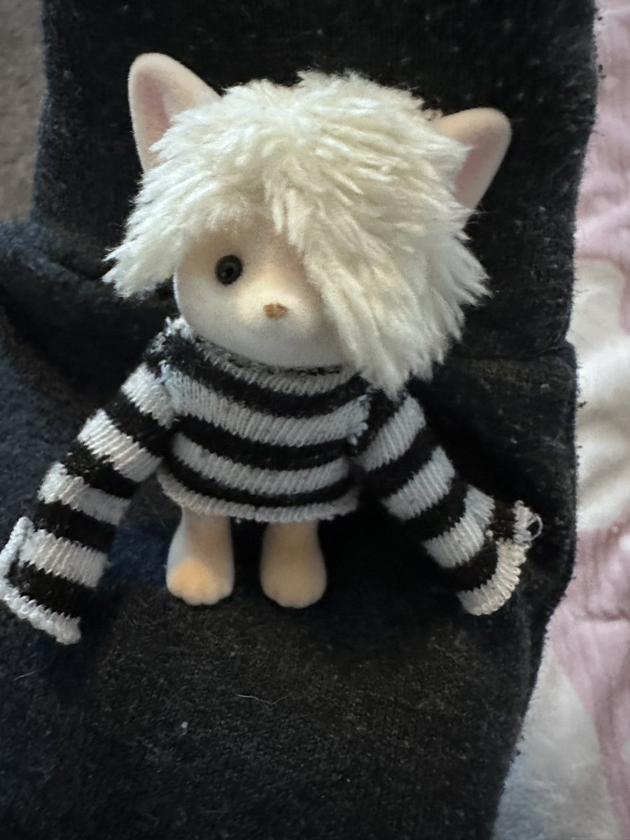 sodapup69's tweet photo. i made him a shirt out of my sock https://t.co/u09ARjsfe0