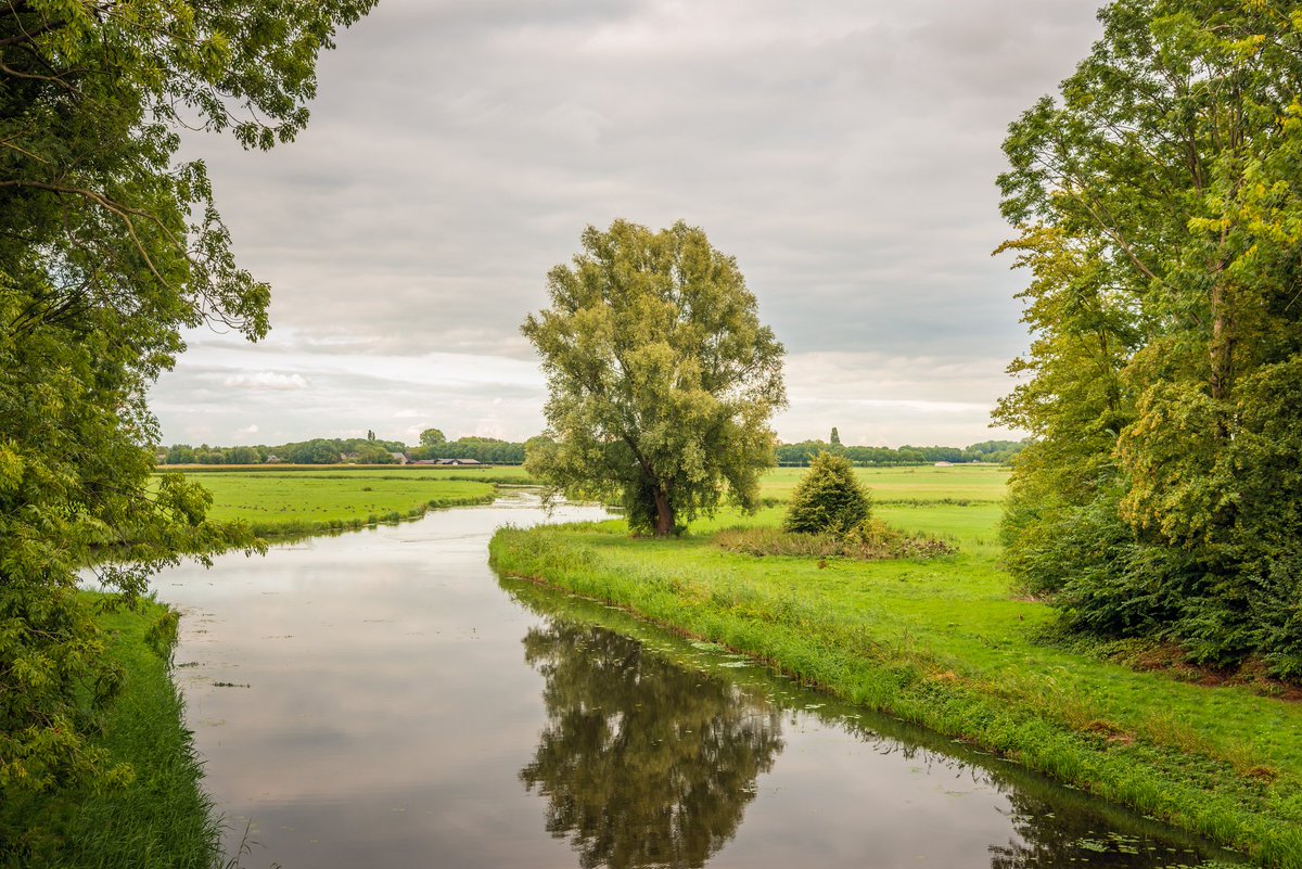 RNOB_regio's tweet photo. De toenemende vernatting en verdroging als gevolg van klimaatverandering maakt actualisering van het #RNOB programma #Klimaatadaptatie noodzakelijk.  Dat doen we samen met gemeenten, waterschappen en @Brabant. Hoe ver zijn we daarmee? #NoordoostBrabant https://t.co/tHfj6zksQH https://t.co/XiTrVK0q1E