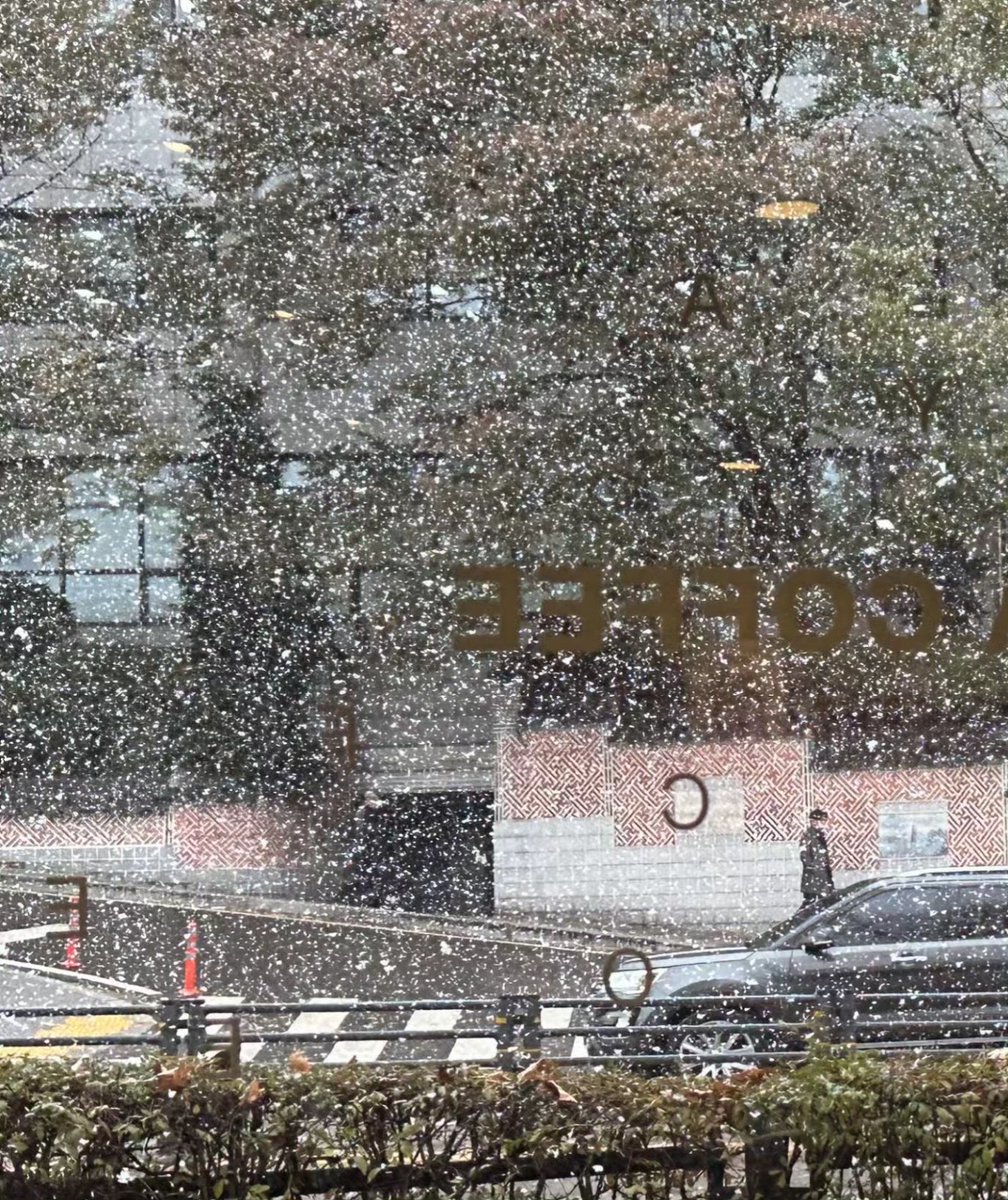 오늘이 멀어지는 소리.
계절이 계절로 흐르는 소리.
천천히 내린 옅은 차 한잔.
따스한 온기가 어느새 식듯
내 청춘도 그렇게 흐를까.

뭐랄까, 그냥 그럴 때 말야.
더는 아무것도 머무르지 않는 게 서글플 때.
《늘그대-양희은》

#첫눈오는날
#Playlist