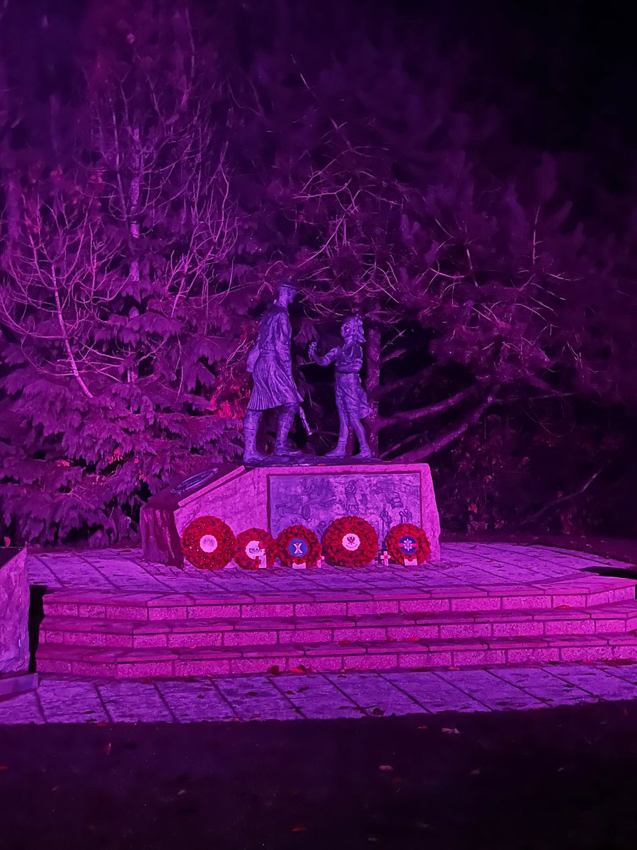 kirstenwatt1111's tweet image. Thanks to everyone who came to the Purple Lights walk to remember those lost to Pancreatic Cancer and raise awareness.
Another great night and fabulous turnout and the weather was very kind 💜
#WPCA #PancreaticCancerAwarenessDay #purplelights