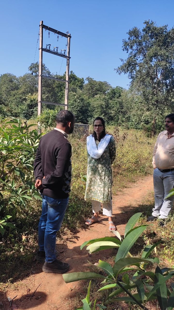 Collector and DM, Jharsuguda tweet media