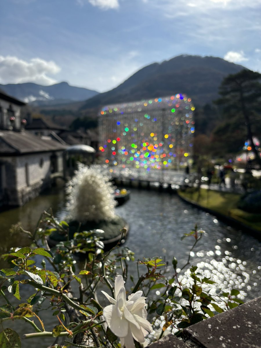 sweety1515's tweet photo. 箱根ガラスの森美術館
クリスタルガラスの森クリスマスツリー。時折吹く風と太陽の光にキラキラ輝いてとても綺麗でした。
#ガラスの森美術館 
#クリスマスツリー 
#クリスタルガラス 
#七色  #輝いて https://t.co/YhxT5Y3Z6X
