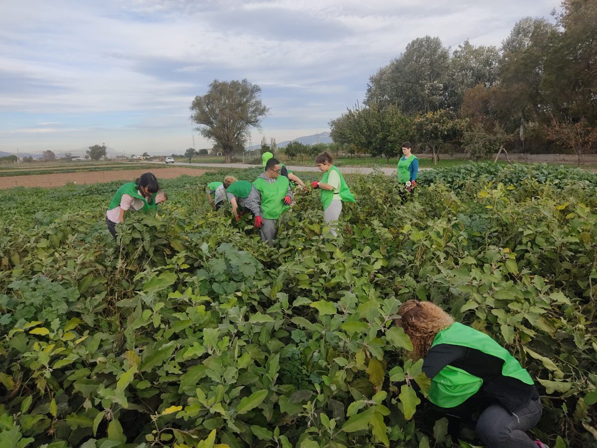 Institut dels Aliments de Barcelona tweet media