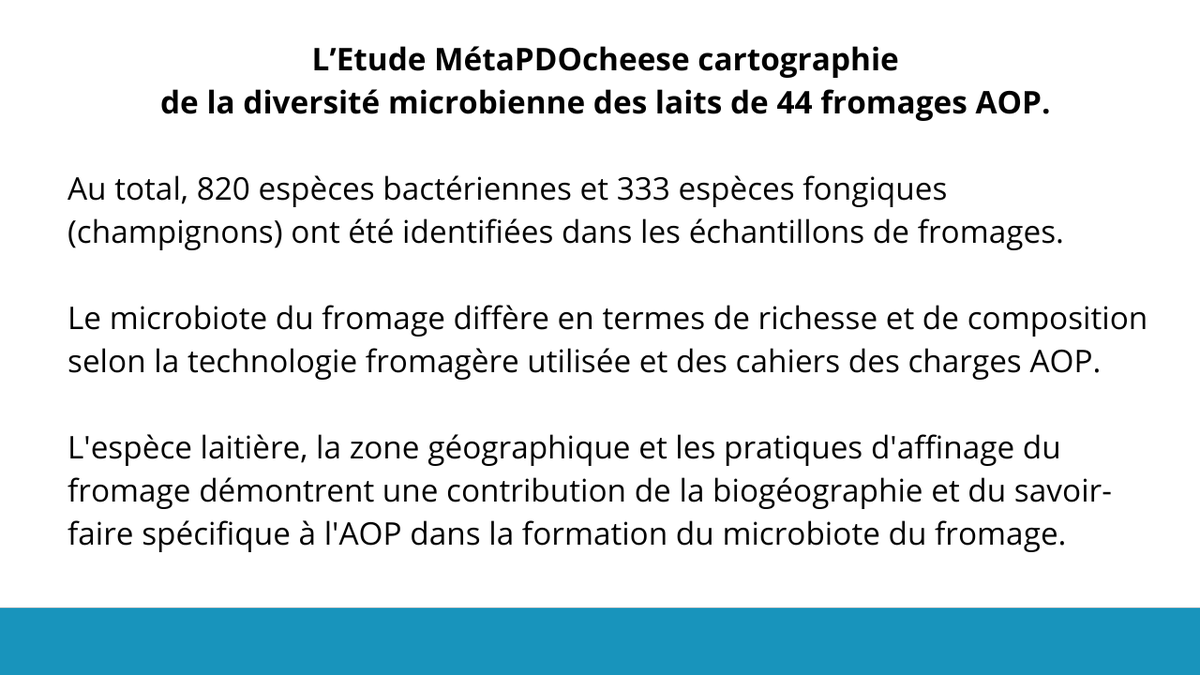 [Colloque🧀 #laitcru] Un fromage au lait cru, c’est plus d’un million de #microorganismes. Ils varient d’un produit à l’autre en fonction des pratiques d’élevage et de transformation.
➡️Retour l’étude #MétaPDOcheese <a href="/INRAE_Clermont/">INRAE Clermont Auvergne-Rhône-Alpes</a>
