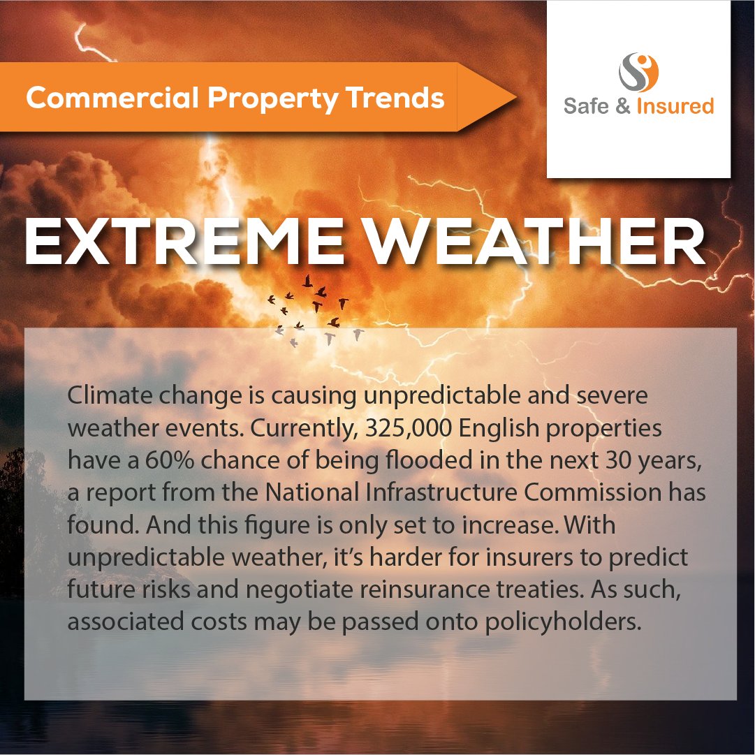 Safe & Insured tweet media