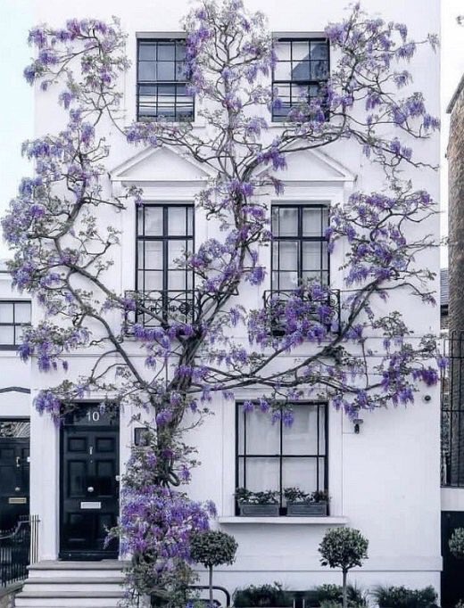 مركز سبل  للتدريب tweet media