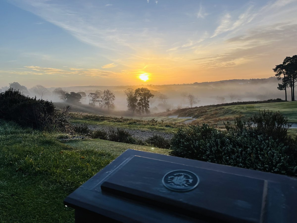 Paul Staples tweet media