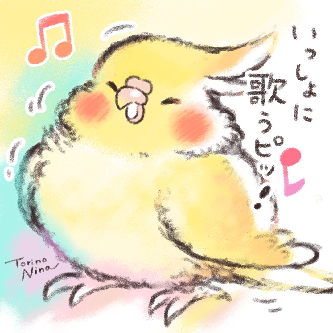 かいぬしに教えてもらったお歌
一緒に歌うピッ🩷

#オカメインコ
#cockatiel 