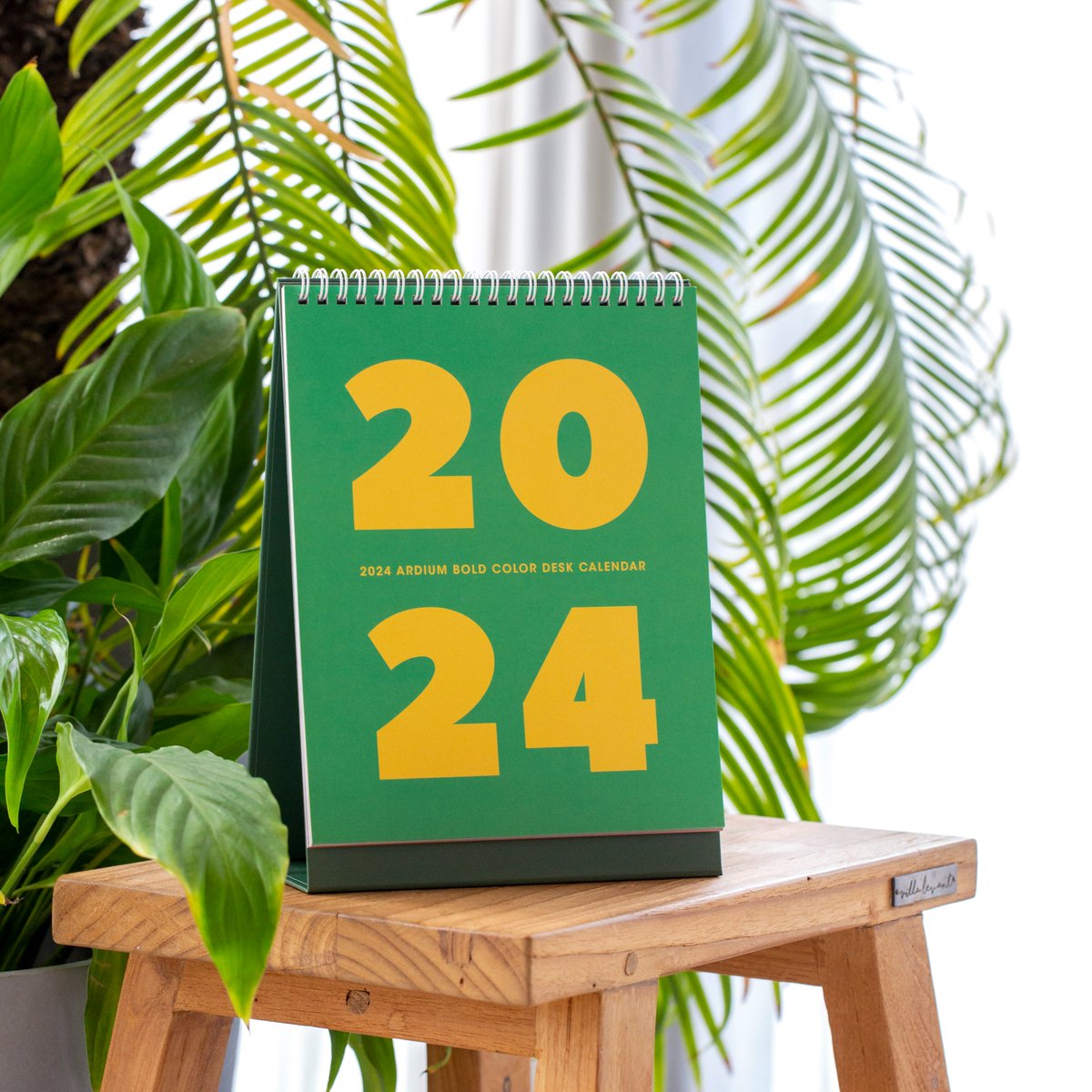 아르디움 tweet media