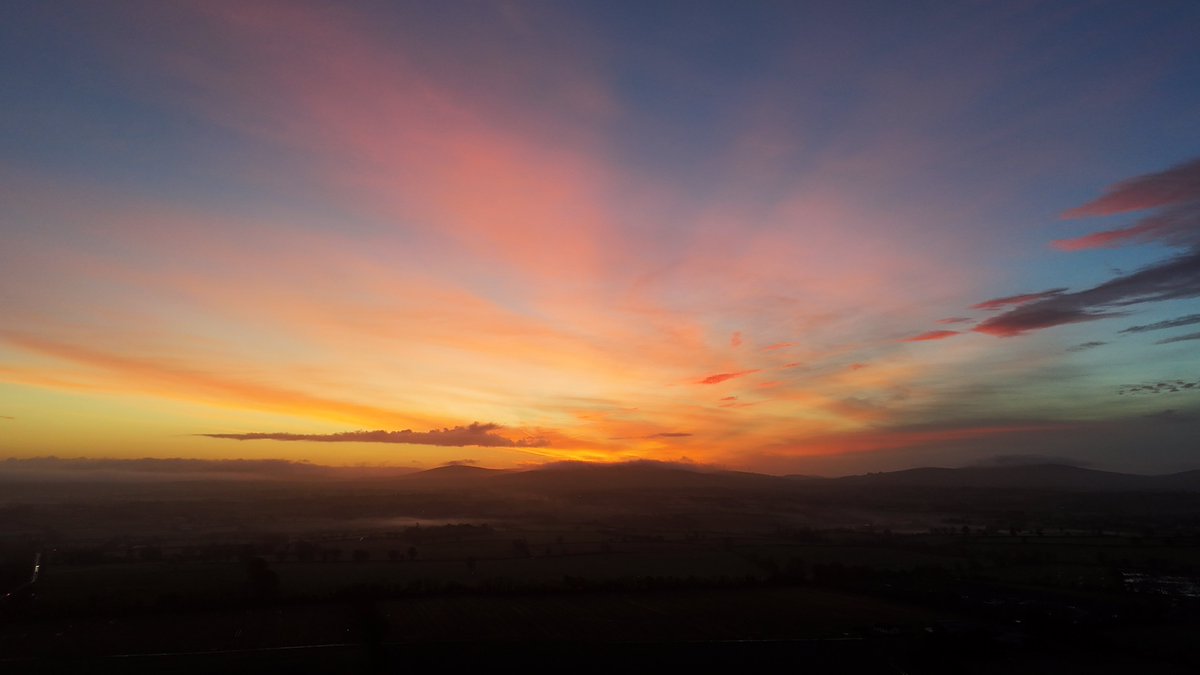 Carlow Weather tweet media
