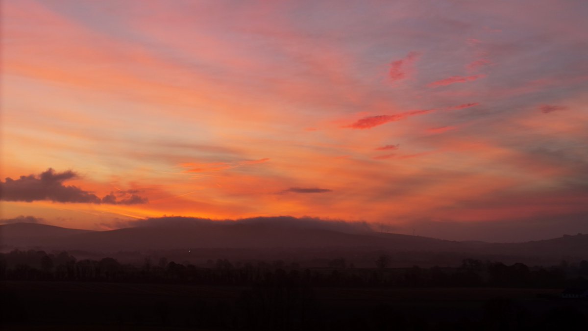 Carlow Weather tweet media