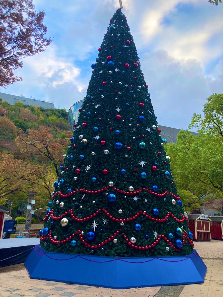 wallet_plus_'s tweet photo. おはようございます！
クリスマスまで残り1ヶ月…
あっという間に11月が終わろうとしていますね…

会社近くの中央公園には
大きな大きなクリスマスツリーが🌲
登場していましたよ〜！

きょうもよろしくお願いします！ https://t.co/TNBMUZhSKQ