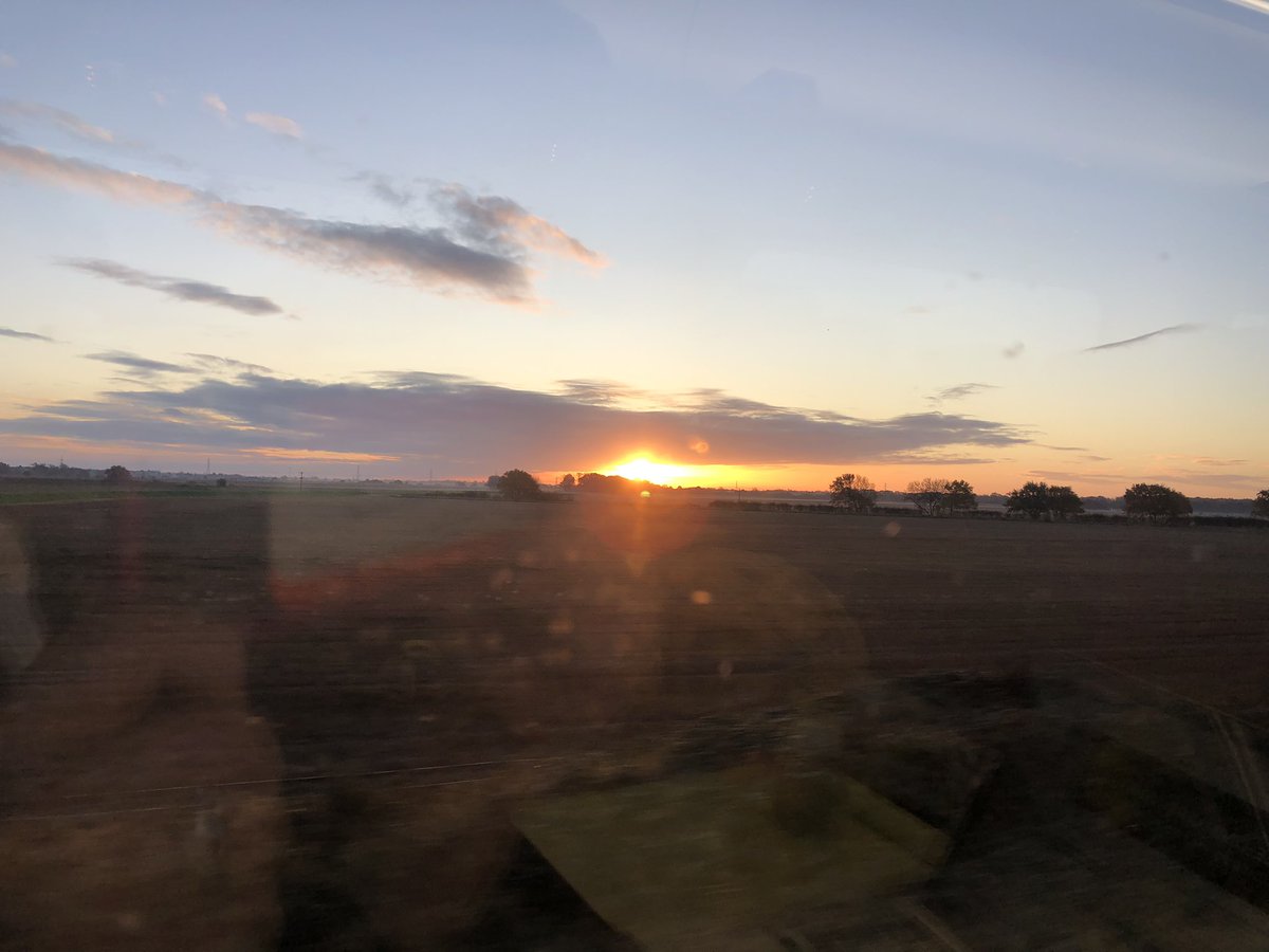 Noémie (no-eh-mee) Hamilton tweet media