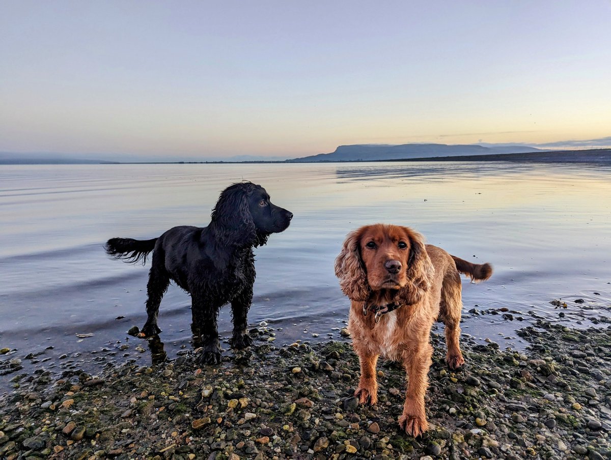 Rachel Conn tweet media