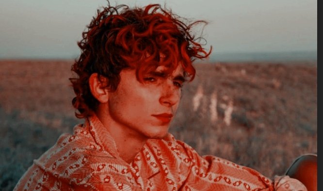 angeldefvego's tweet image. ㅤ
       ▰▰  𝓢𝐄 𝓑𝐔𝐒𝐂𝐀 ⨾
      ⤹⤹ 𝓖𝗘𝗢𝗥𝗚𝗘 𝓦𝗘𝗔𝗦𝗟𝗘𝗬 .

   ❛──2° gen. Hogwarts era.
   ❛── Secrets lovers. 
  (Love affaire con la novia de 
  su  gemelo)
   ❛── Fc: Thimothcc C.

  ╰─╱ɪɴғᴏ ᴇɴ ᴍᴅ  ⨾  ↻﹢♡.──
ㅤ