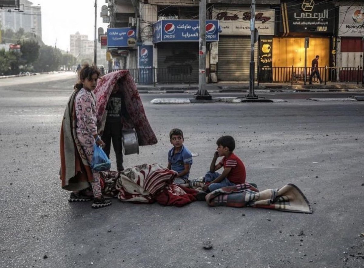 CerfiaFR's tweet photo. 🚨🇵🇸 FLASH | La quasi-totalité de la population de #Gaza a désormais besoin d'une aide alimentaire. Les options alimentaires se limitent aux conserves, lorsqu'elles sont disponibles, et le pain est devenu un véritable luxe. (PAM/ONU) https://t.co/8kAGtnfJoK