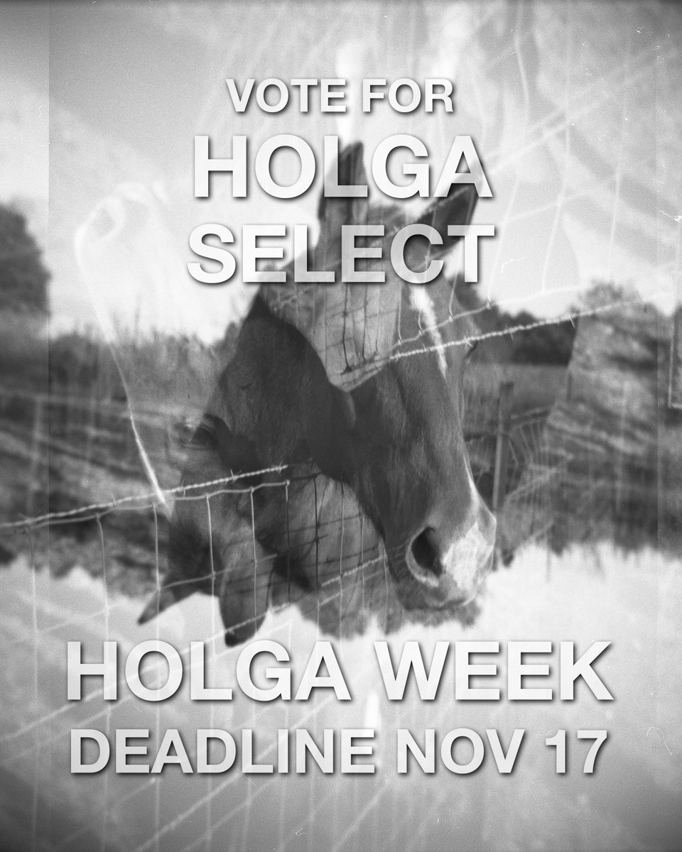 TODAY! Voting for Holga Select ends today. If you submitted #HolgaWeek2023 pics, then you need to vote before midnight tonight.

Gallery @ holgaweek.com/2023/index.php