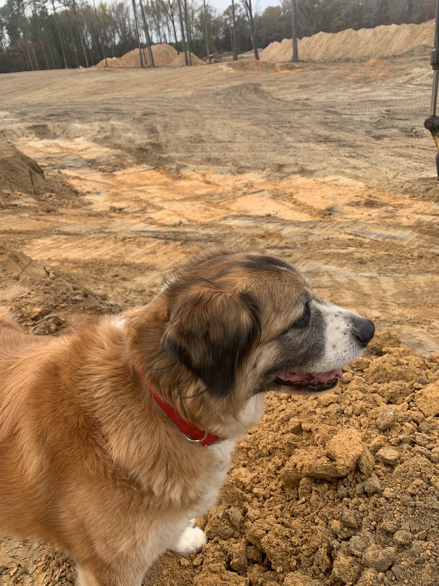 Joe Hancock tweet media