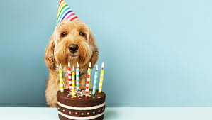 🐳🐳🐳🐳 tweet media