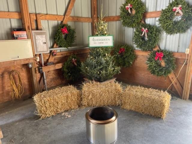 chambanamoms's tweet image. 𝟒𝐄𝐯𝐞𝐫𝐆𝐫𝐞𝐞𝐧 𝐓𝐫𝐞𝐞 𝐂𝐨𝐦𝐩𝐚𝐧𝐲 in Bondville has a festive opening weekend planned in the Big Red Shed!

🎄 9-6 Friday 11/24
🎄  9-5 Sat 11/25
🎄 9-5 Sun, 11/26

🎅🤶 Meet Santa &amp;amp; Mrs. Claus on 11/24, 10am–12pm

👉 For info 4etree.weebly.com 

#ad #chambana