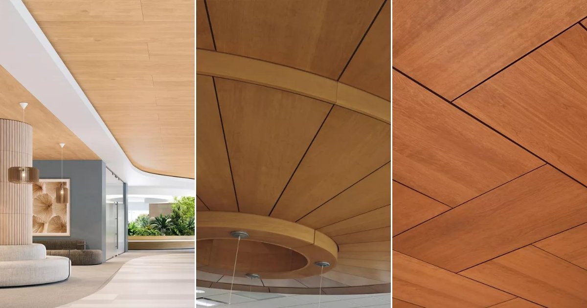 The WoodWorks Torsion Spring line is now standard with a newly expanded veneer finish palette, so you can create more distinct visuals with this well-known system. This means ease of ordering and specifying without additional drawings to approve. ow.ly/5YLi50Q7YlV