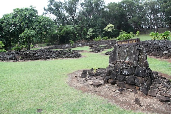 AlohaBruce tweet media