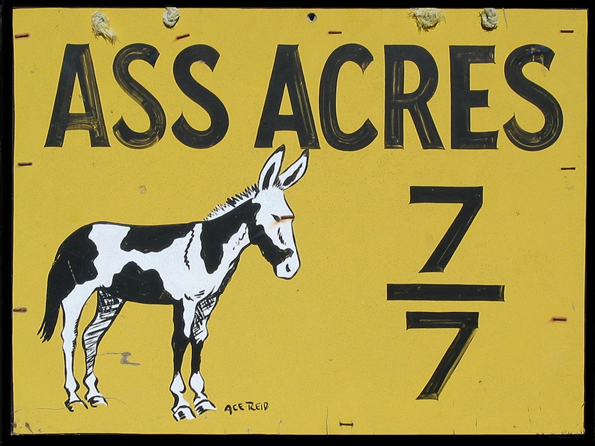 tim_daugherty's tweet photo. We found a few of these signs around the ranch.   I know they used to race donkeys out here, so it makes sense.   Even though the donkeys are long gone the sign still works.  #AssAcres #ReedPoint #Montana https://t.co/lfjnzAcYpt